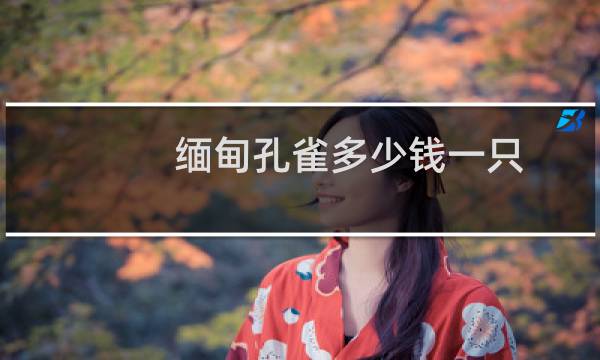 缅甸孔雀多少钱一只