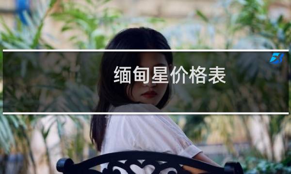 缅甸星价格表