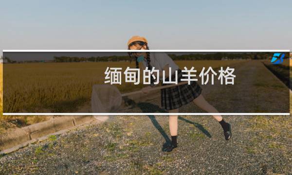 缅甸的山羊价格