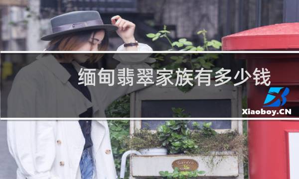 缅甸翡翠家族有多少钱