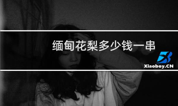缅甸花梨多少钱一串
