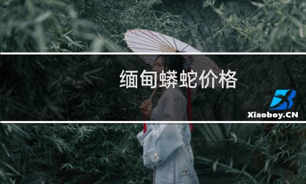 缅甸蟒蛇价格