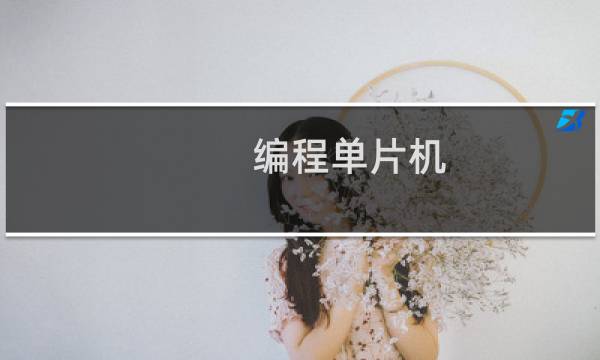 编程单片机