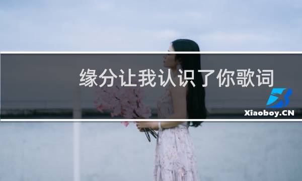 缘分让我认识了你歌词