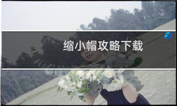 缩小帽攻略下载