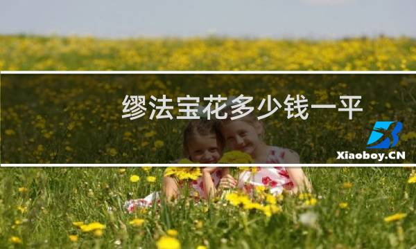缪法宝花多少钱一平