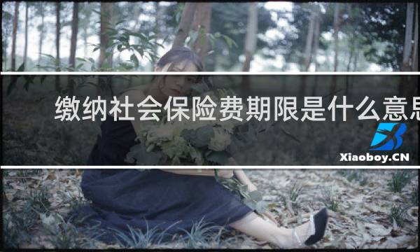 缴纳社会保险费期限是什么意思