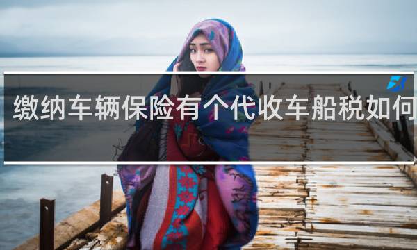 缴纳车辆保险有个代收车船税如何入账