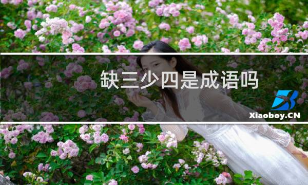 缺三少四是成语吗