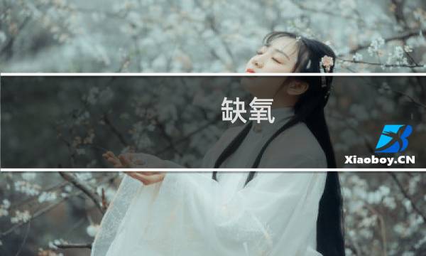 缺氧 公攻略