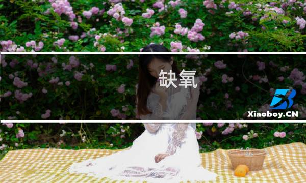 缺氧 进阶攻略