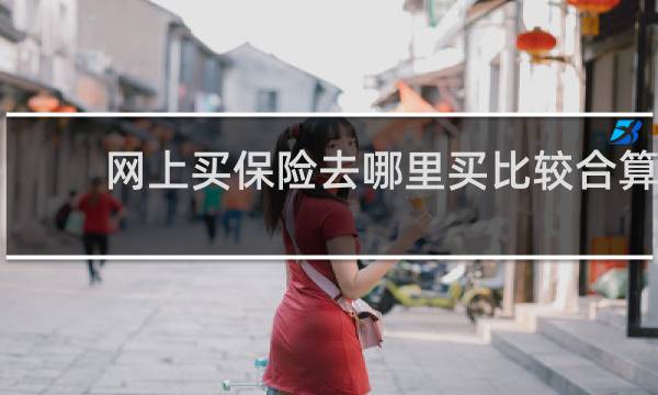 网上买保险去哪里买比较合算