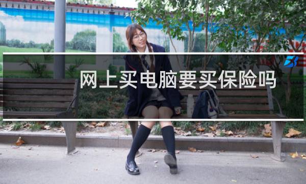 网上买电脑要买保险吗