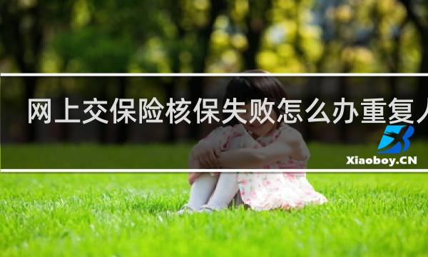 网上交保险核保失败怎么办重复人寿