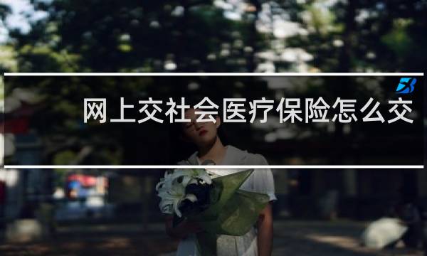 网上交社会医疗保险怎么交