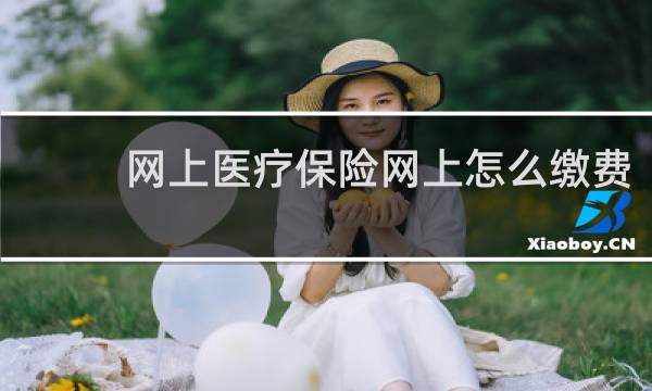 网上医疗保险网上怎么缴费