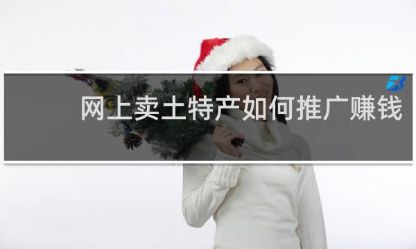 网上卖土特产如何推广赚钱