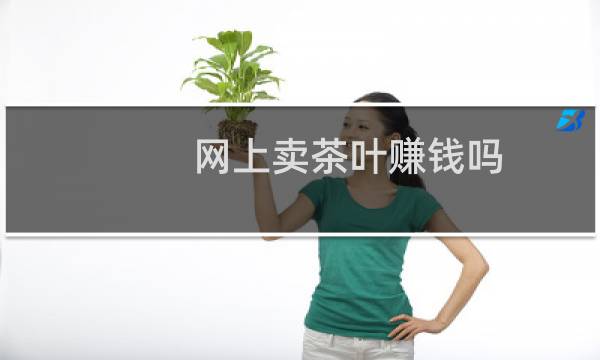 网上卖茶叶赚钱吗