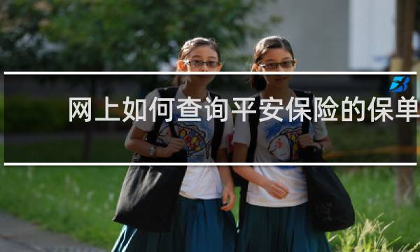 网上如何查询平安保险的保单