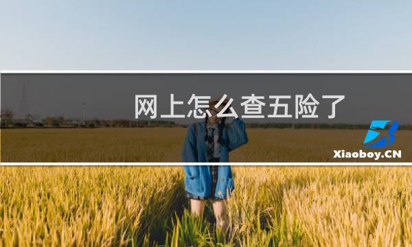 网上怎么查五险了