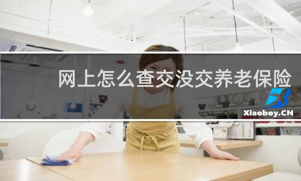 网上怎么查交没交养老保险