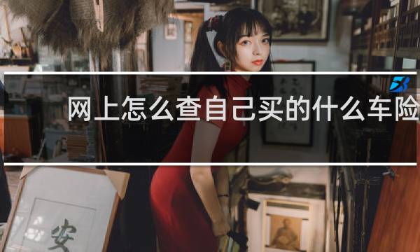 网上怎么查自己买的什么车险