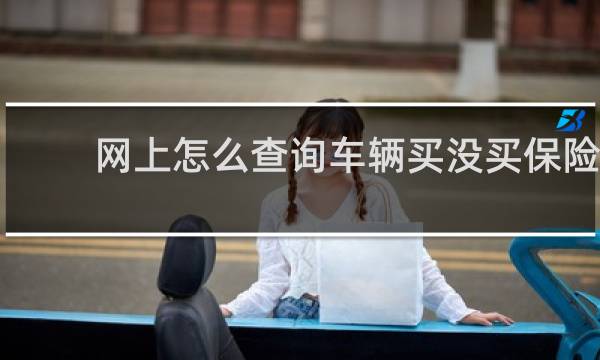 网上怎么查询车辆买没买保险