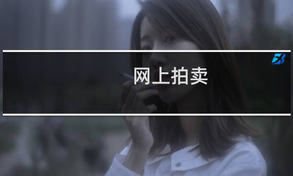 网上拍卖 攻略