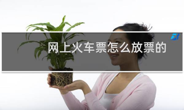 网上火车票怎么放票的