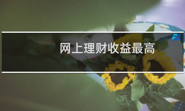 网上理财收益最高