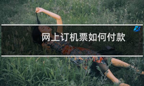 网上订机票如何付款