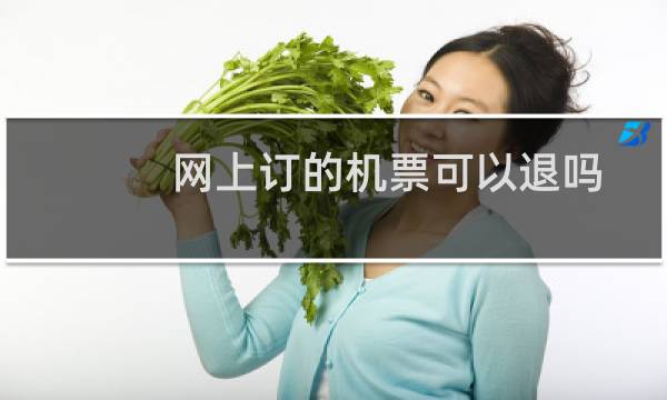 网上订的机票可以退吗