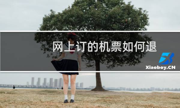 网上订的机票如何退