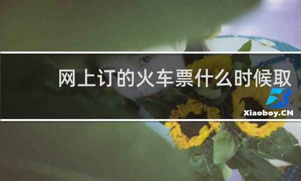网上订的火车票什么时候取