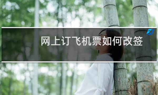 网上订飞机票如何改签