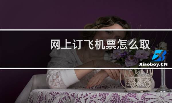 网上订飞机票怎么取