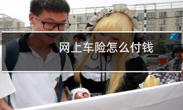 网上车险怎么付钱