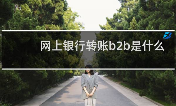 网上银行转账b2b是什么