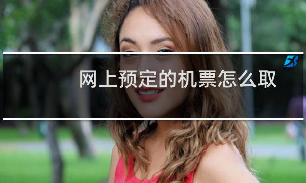 网上预定的机票怎么取