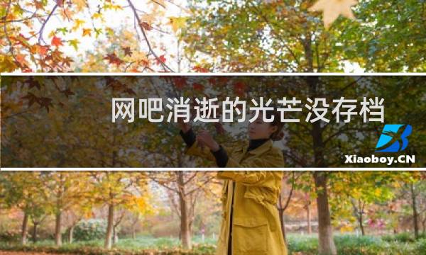 网吧消逝的光芒没存档