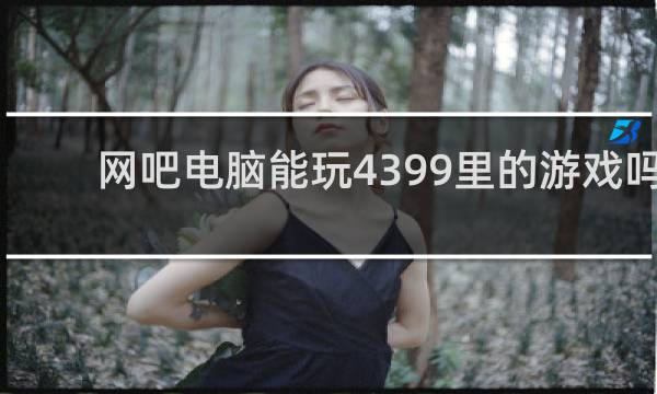 网吧电脑能玩4399里的游戏吗