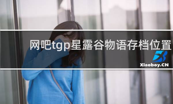 网吧tgp星露谷物语存档位置