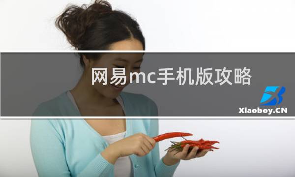 网易mc手机版攻略