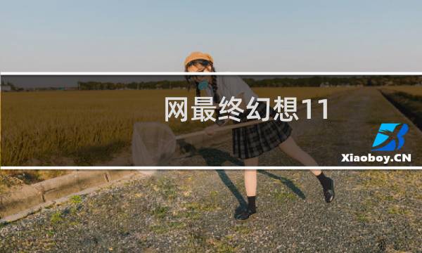 网最终幻想11