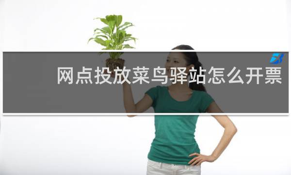网点投放菜鸟驿站怎么开票