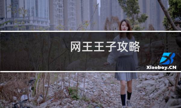 网王王子攻略 攻略