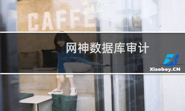 网神数据库审计