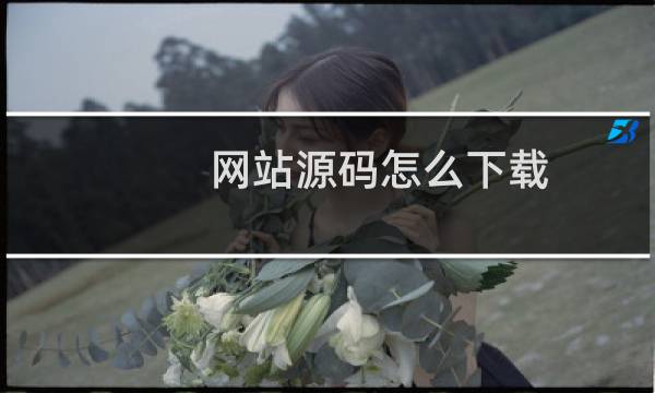 网站源码怎么下载