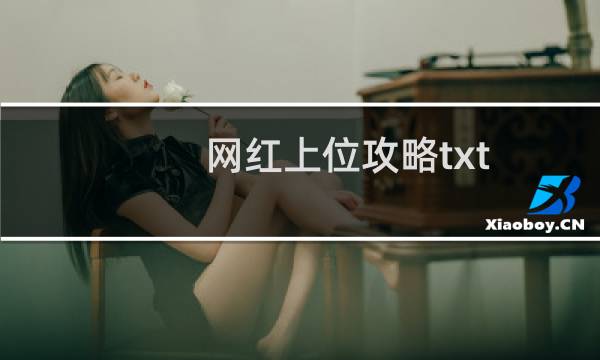 网红上位攻略txt
