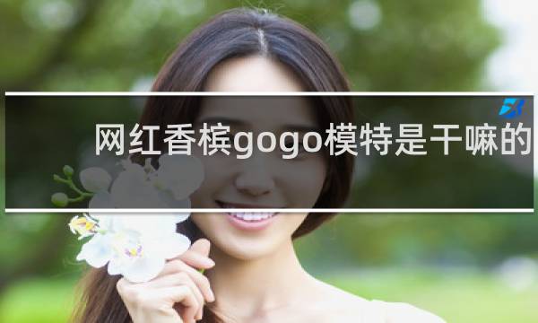 网红香槟gogo模特是干嘛的